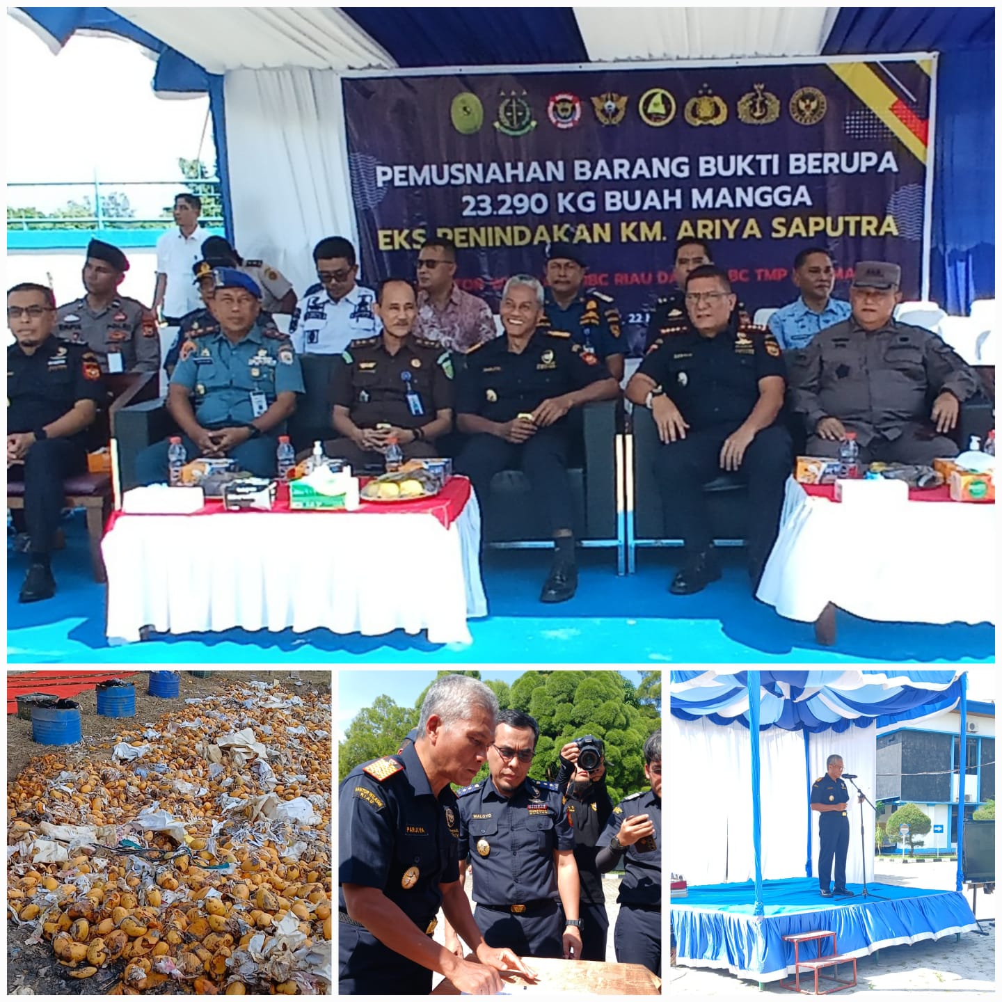 1.196 Buah Mangga Ilegal Asal Malaysia Berhasil Diamankan Bea Cukai