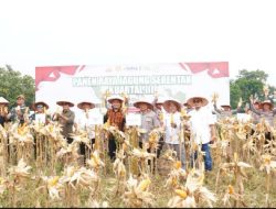 Polda Riau Gelar Panen Raya Serentak Kuartal III 2025, Wujud Nyata Sinergi untuk Ketahanan Pangan