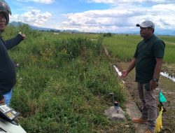 Sakti Mandraguna! Di Sungai Penuh, Hantu dan Padi di Sawah Kini Dipasang Meteran PDAM Seharga Rp 4 Miliar