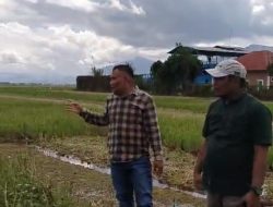 “GRAND DESIGN” PERAMPOKAN UANG RAKYAT TERBONGKAR! L.I.M.B.A.H Buka Kartu Truf Dinas PUPR Sungai Penuh: Dari Modus “Pecah Paket” Hingga Pipa Paralon di Tengah Sawah