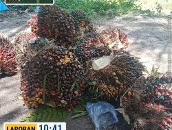 Bantah Pemberitaan Media Online, Keluarga Simarmata Tegaskan Sengketa Lahan Sudah Berkekuatan Hukum