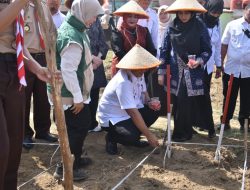 Ratusan Anak PAUD Kota Jambi Belajar Tanam Jagung, Wali Kota Maulana Tekankan Ketahanan Pangan Sejak Dini