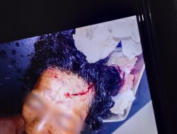 Jambi Darurat Konflik Agraria: WALHI Desak Penghentian Kekerasan di Wilayah Konsesi PT SAL I